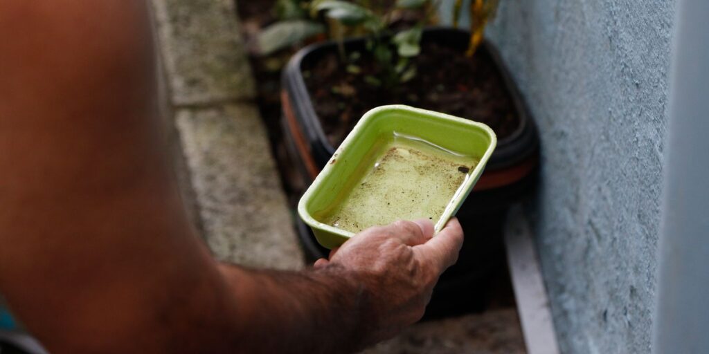 El Niño pode aumentar casos de chikungunya e dengue no Brasil
