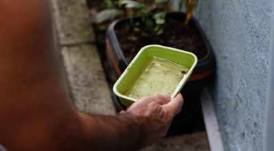 El Niño pode aumentar casos de chikungunya e dengue no Brasil