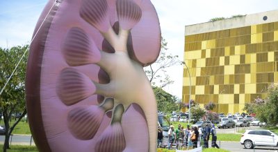 Dia Mundial do Rim: doenças renais são silenciosas e exigem atenção