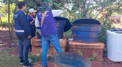 Chikungunya: entenda doença que preocupa Mato Grosso do Sul