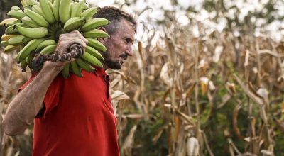 Câmara aprova uso de recursos do FGO em operações do Pronaf