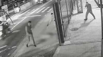 Soldado da PM depõe por ter matado cachorro comunitário em São Paulo