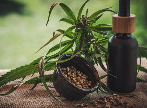 Projeto apoia mães e crianças atípicas tratadas à base de cannabis