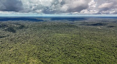 Adversária em campo, Noruega é parceria de ações ambientais do Brasil