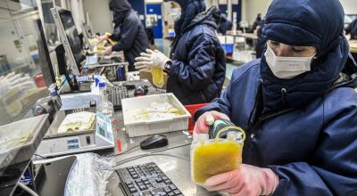 Dia Mundial da Hemofilia: campanha reforça importância do diagnóstico