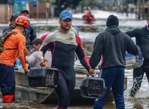 Lei cria Política de Acolhimento para animais resgatados em desastres