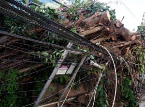 Mais de 200 mil continuam sem energia no Rio após vendaval
