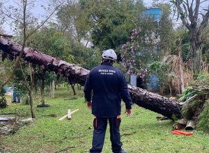Rio Grande do Sul: chuvas deixam 720 desabrigados em Eldorado do Sul