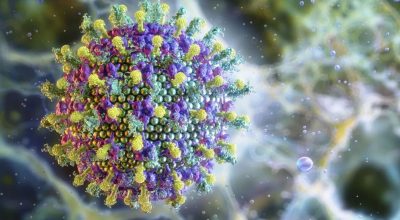 Nipah: saiba mais sobre o vírus que preocupa a Ásia